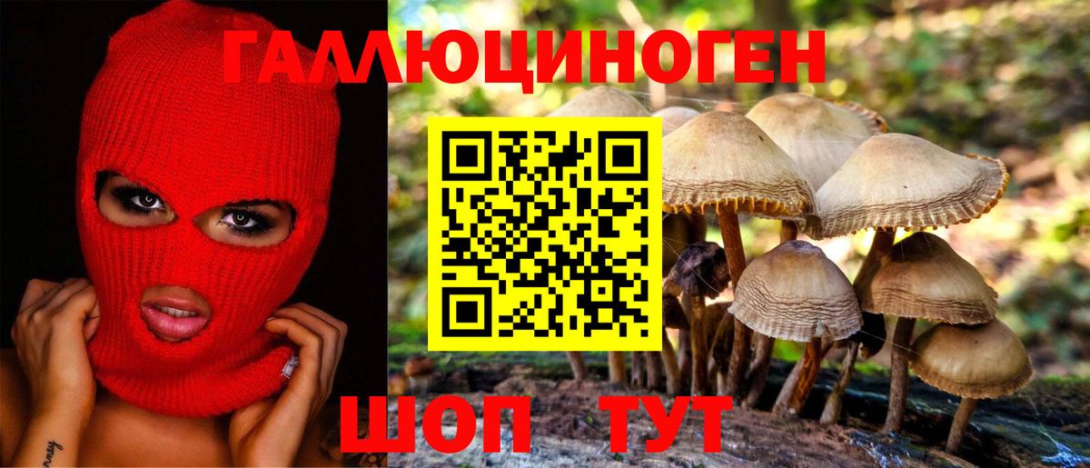 Галлюциногенные грибы ЛСД  Вход с VPN  Галлюциногенные грибы мухоморы  Гусь-Хрустальный 