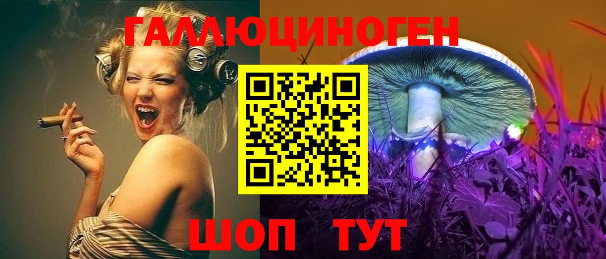 Псилоцибиновые грибы Cubensis Гусь-Хрустальный